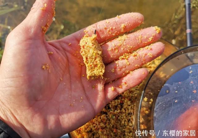  『举例』黑坑如何做窝：举例三种常见方法，分析各自优势及适用鱼情