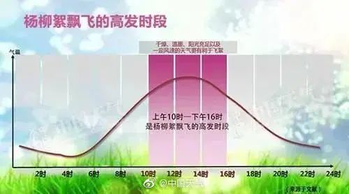 『飞雪』降温+降雨+“飞雪”!北京天气“三合一套餐”到货…但飞絮没有传播病毒的可能!