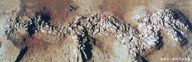 一座号称中华帝都的五线城市 坐拥千万级油田, 上亿人姓氏起源地