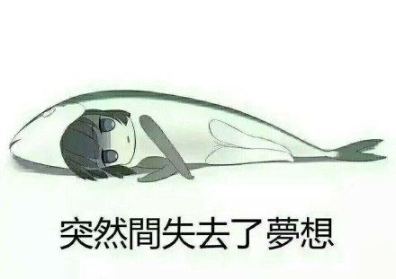 辟谣|《凉宫春日的忧郁》动画三期决定?骗人的!