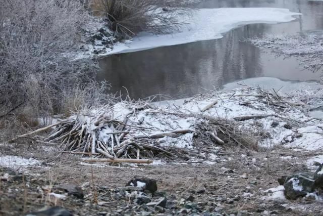 服气!接近零下20度,这台10多万的SUV还敢爬山撒野