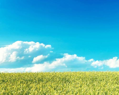 中国最值得旅游的5大景色