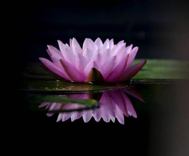 净空老法师：善恶的标准，我们要把它记住