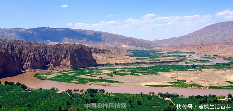 中华自然奇观黄河石林!一县一品公益助农,甘肃景泰特产枸杞