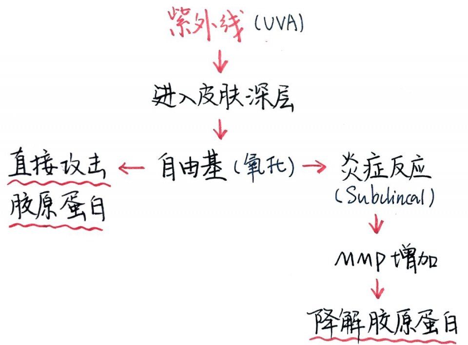 颈纹咋这么显老?别怪我没提醒，再晚就来不及了