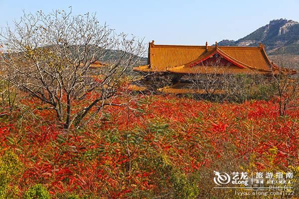 赏秋别扎堆，山东这个北方小城秋意浓，还藏着4A级国家森林公园！