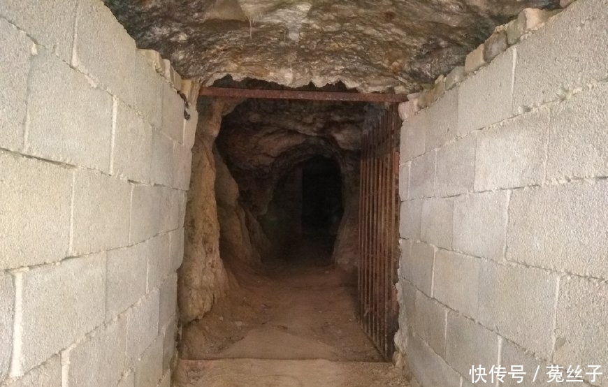 农民不种大蒜种这货，一亩地产6500斤，3元一斤的市场价年入2万元