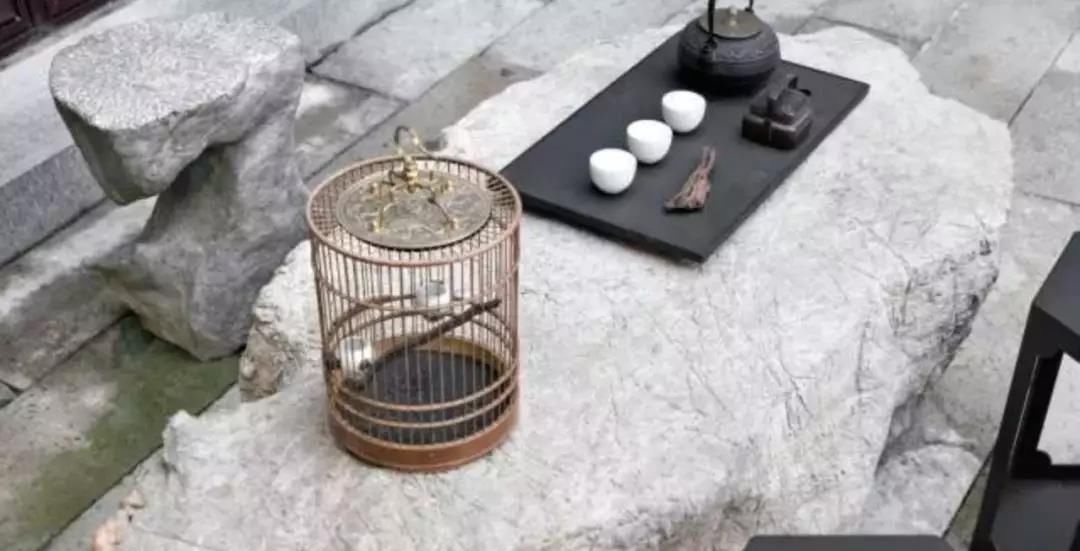  「庭院」合院别墅是什么？现代中国人的庭院生活