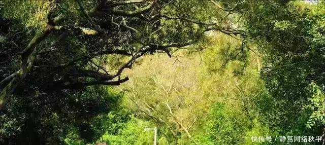 刚刚! 厦门被重新定位…一句话说尽了厦门人的现状!