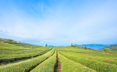  gdp■浙江最“谦虚”的城市，GDP轻松过万亿，没有温州锋芒毕露