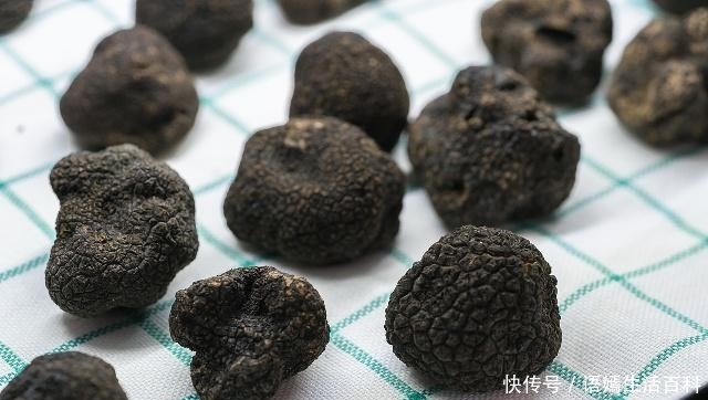  「收购价」一斤直逼300元，市场供不应求，就连种植户都说真是疯