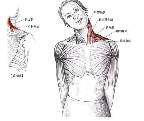 热巴的蝴蝶臀天鹅颈，女明星做梦都想要的好身材，都是这样来的？