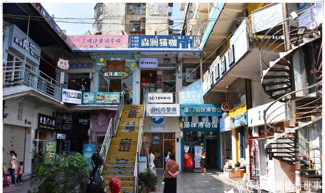 「鸽子」顶澳仔猫街撸猫、白鹭洲喂鸽子,厦门文艺之旅,去过才算没白来!