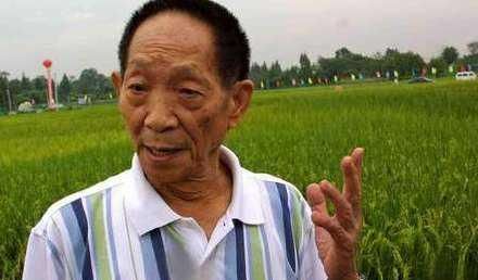 有记者问：外国粮食便宜，我们为何要自己种，袁隆平答这样一句话