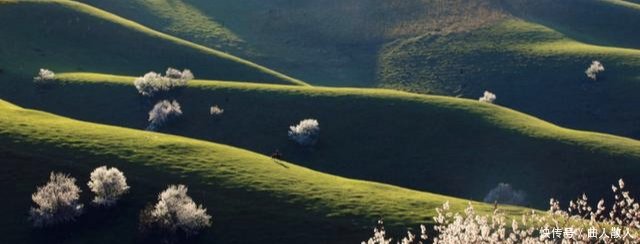  【塞外江南】中国最特殊的地级行政区，居然还下辖2个地级行政区