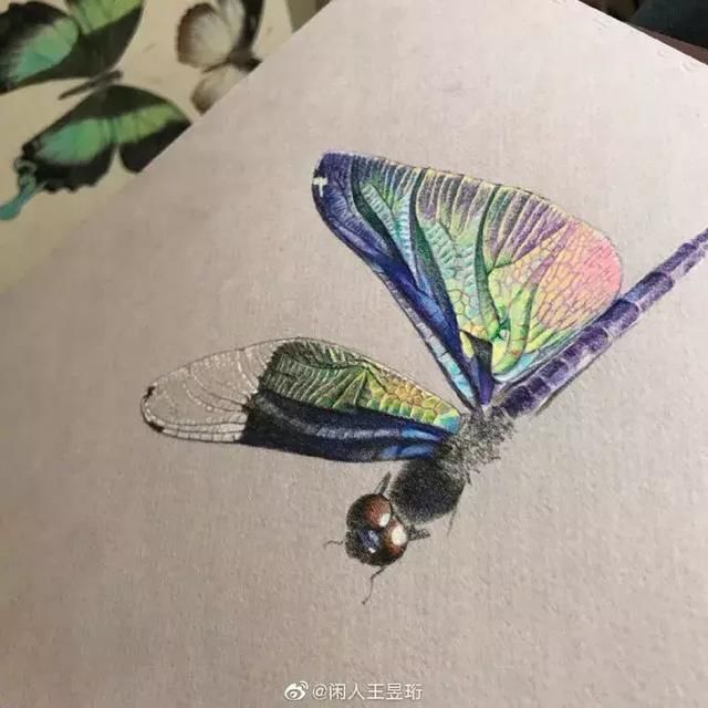 鬼眼王昱珩:鼓励女儿不上学,清华毕业不工作,是人人称羡的男神