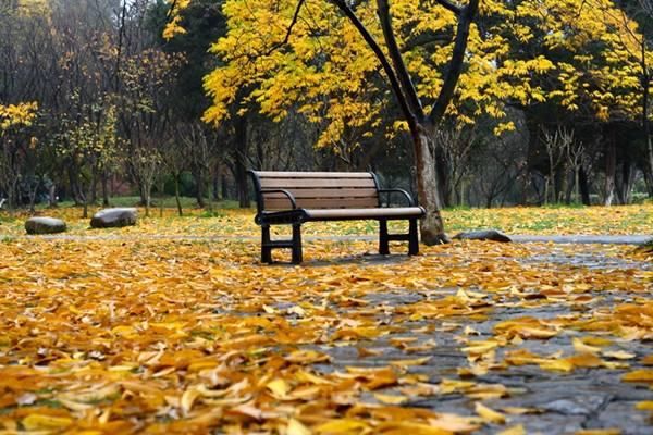中国性价比最高的旅游地!物价连学生党都惊呼便宜,还是一线城市