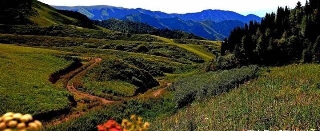 98年中国成功收复了3万公顷领土,因太过低调,至今没几个人知道！