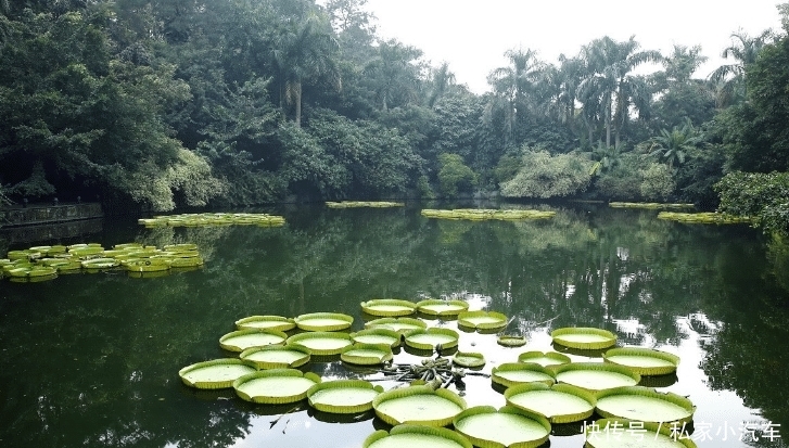 中国最具黑马相的省会:面积是上海的3.5倍,未来有望媲美北上广