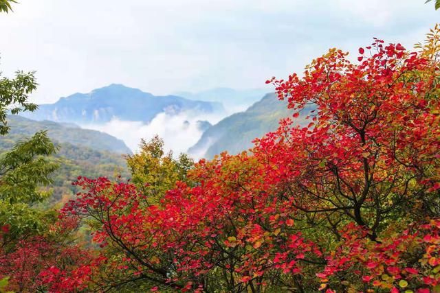 深秋云台山，静谧云武堂