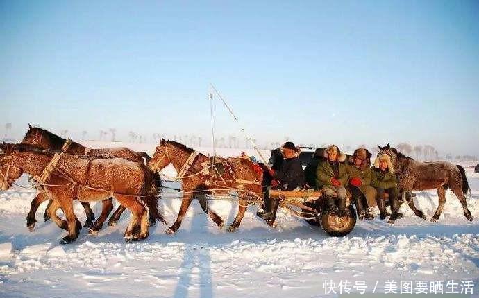 查干湖的鱼越捞越多？渔民无奈讲道：你知道他们都做了什么！