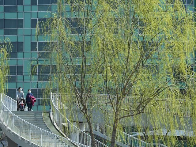  风雨交加■北京：今天降5℃，明天风雨交加，后天降10℃