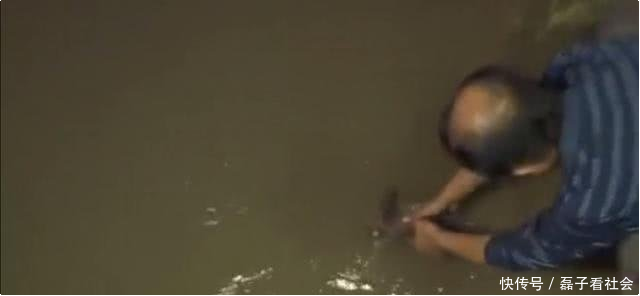  「男子」重庆男子，长期在长江地笼“偷鱼”，不料却因捕了条怪