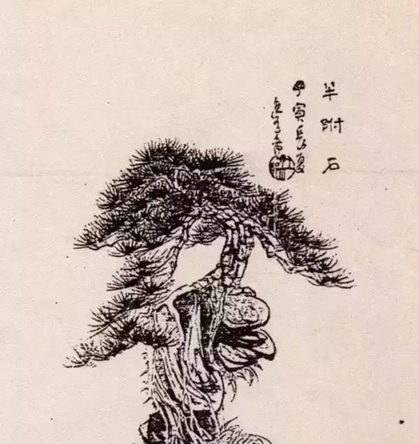 盆景艺术三十二式,强烈建议收藏!