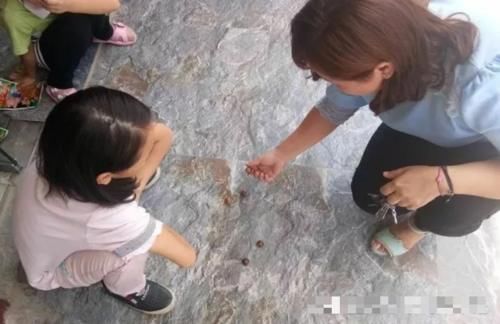  #橡子#儿时用“它”当玩具，如今价值极高，40元一斤，你们认识