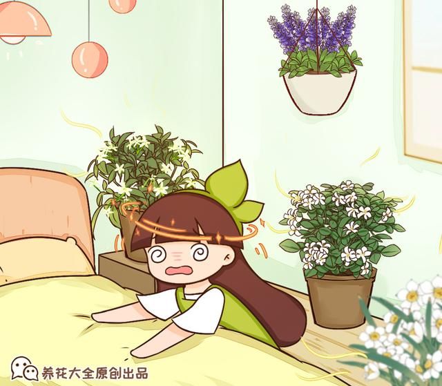  『呼吸道不好』卧室别养这8种花，香得头昏脑涨，对身体有大害处！