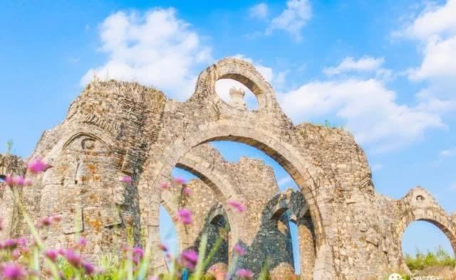 石头会呼吸 粉红花田上千亩 重庆这个景区一天穿越一亿年