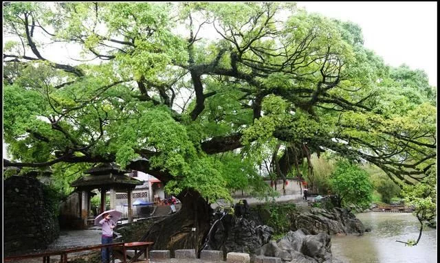 广西贺州的黄姚古镇,一个古韵盎然,有历史底蕴,风景优美的地方【2020热门旅游景点】