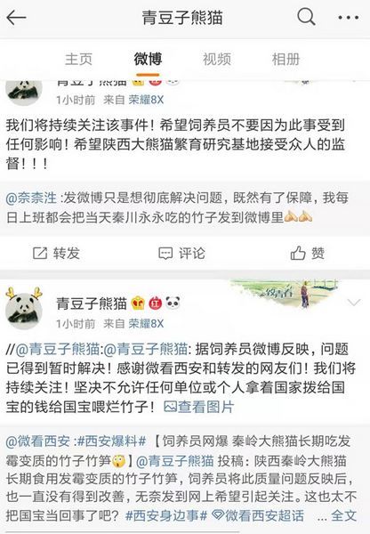 『 大熊猫』园方辟谣，秦岭野生动物园大熊猫疑长期吃变质食物