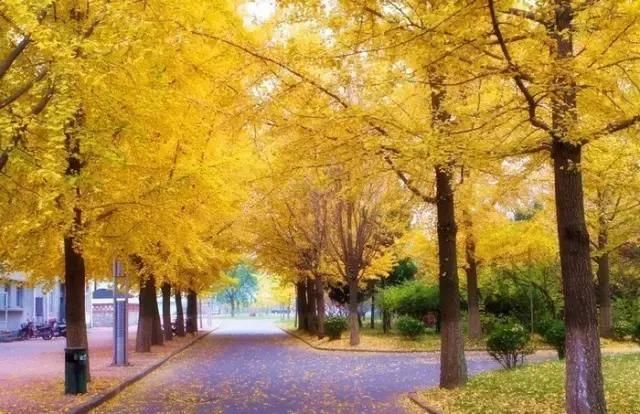 9大风景秀丽的中国边境小城,你去过几个?