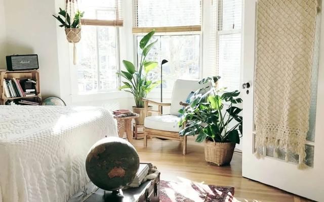 『上图为』卧室里养这几种植物,可以提升睡眠质量,要养护得当才能发挥效果