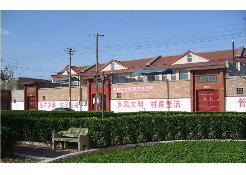 2019年起，国家“五大行动”助力乡村振兴，农民朋友有福了