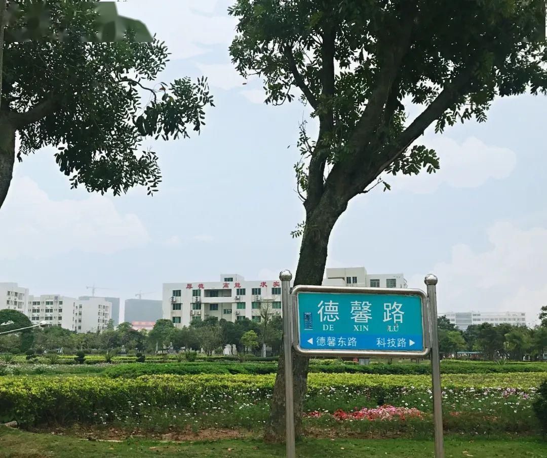 『回校』你在家上网课,我回科干赏花钓鱼了!