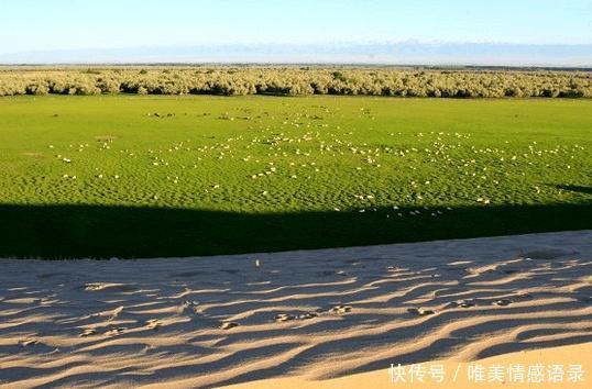 全球最大治沙工程40年治沙5000万亩，改变半个中国命运！