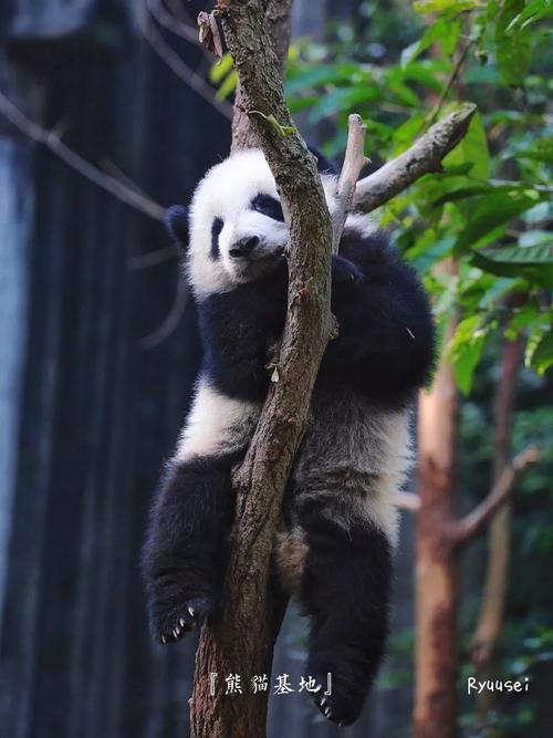 旅行达人必去的10个目的地,你去过几个?