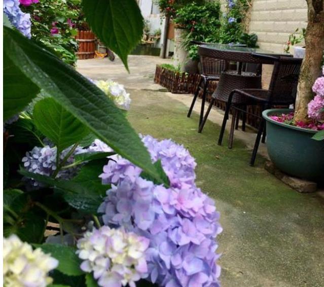 悠哉悠哉，雅致古朴的风格，每个养花人梦想的小院