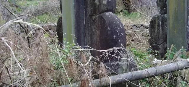  [喜欢]农村菜园，城市小花园，你喜欢哪个