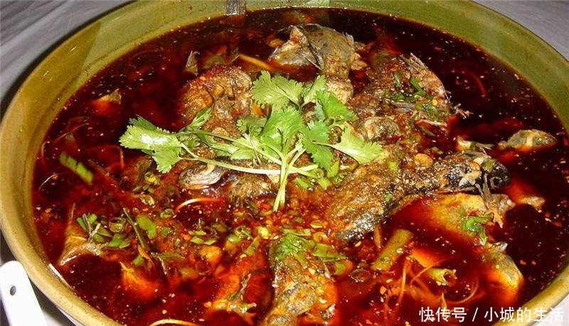  中国|原产美国，该鱼在四川被充当为黄辣丁出售，如今泛滥在中国