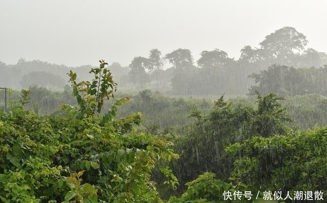  热带风暴：一场热带风暴威力有多大？杀死二十万人，百万人无家可归