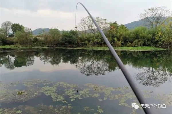  【选择】朝天钩钓草洞的技术要点，晚春野钓大鲫鱼，还是这种钓法最给力！