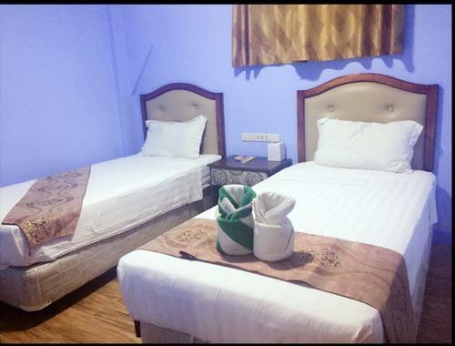 人生怎么也要看一次的长尾鲨!!