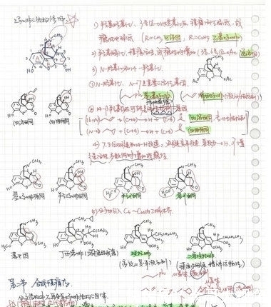  『借来』学霸的笔记原来长这样……网友：期末了我想借来复习！