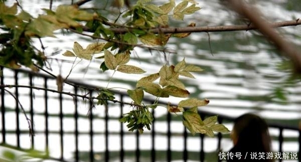  冷空气：提醒！冷空气马上到山东！降雨+降温要来了！白露节气要