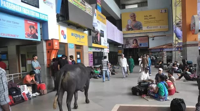 印度四大城市，相当于中国的“北上广深”，但没法比