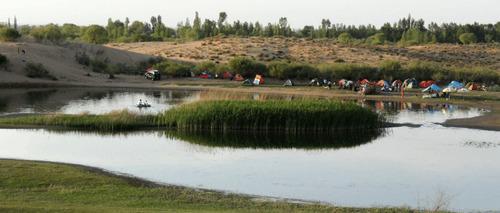 致敬中国“治沙人”：30年种8亿棵树，拯救了沙漠附近10万居民！