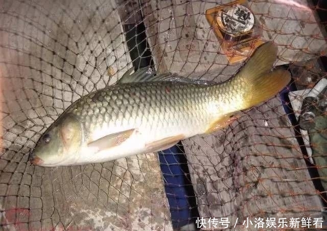 「钓友」不管你信不信,这些发生在钓鱼人身上的事情,总是没办法解释